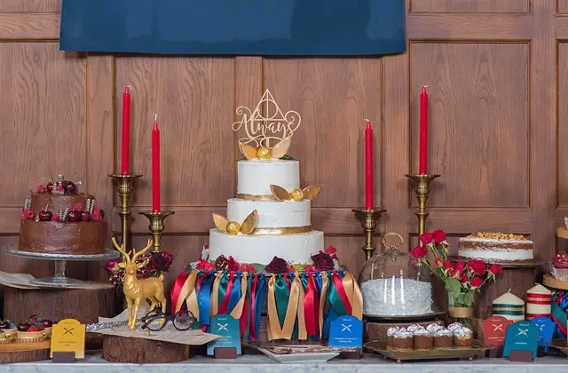 Magical Harry Potter